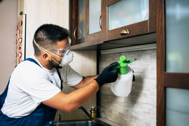 Best Residential Pest Control  in Dunedin, FL