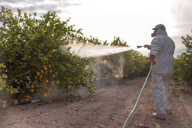  Dunedin, FL Pest Control Pros
