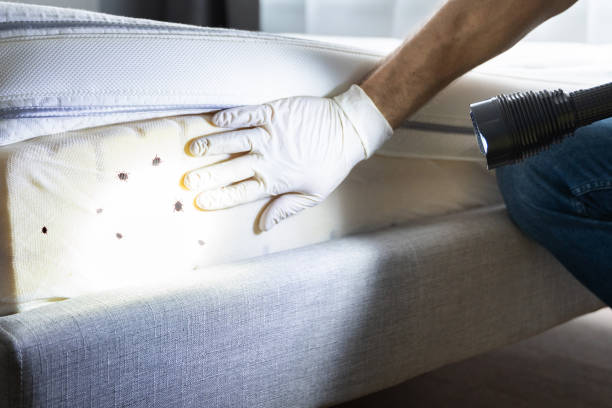 Dunedin, FL Pest Control Company