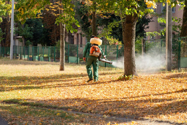 Best Affordable Pest Control Services  in Dunedin, FL